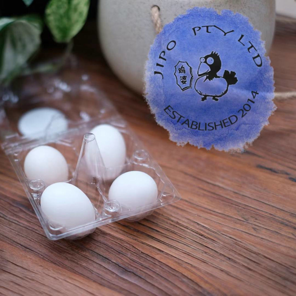 Jipo Fresh Pigeon Eggs - 4 Pieces-1