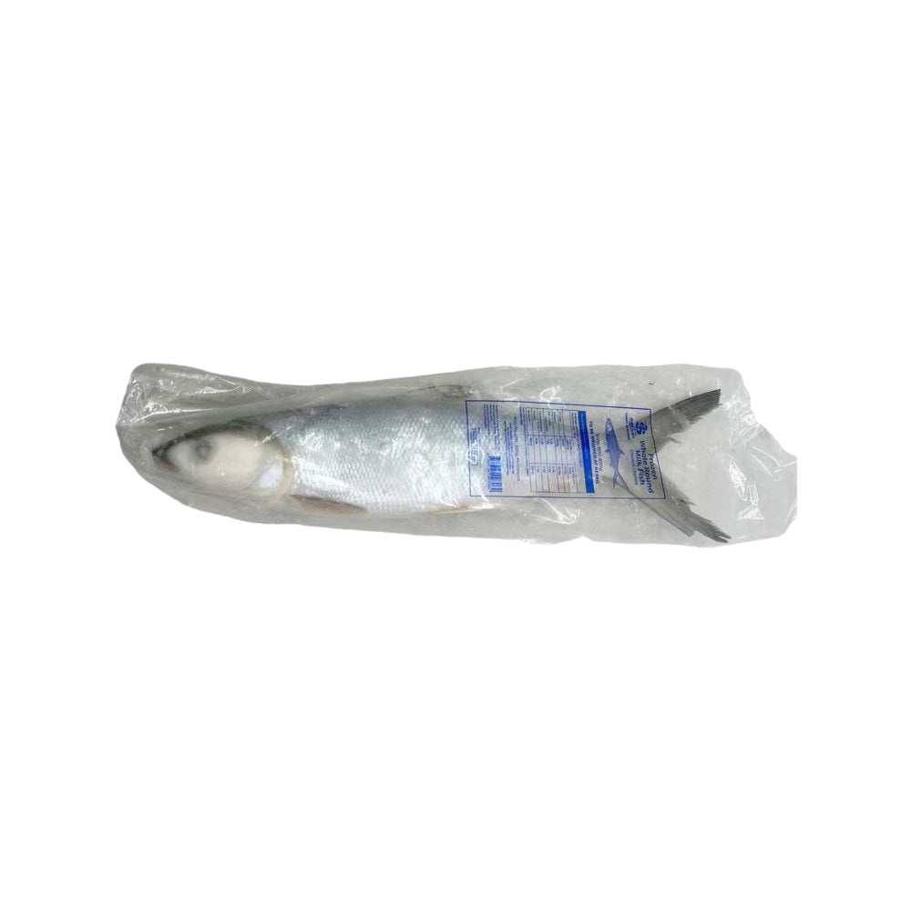 Frozen-Whole-Milkfish-(Scaled-and-Gutted)---600-800g-1