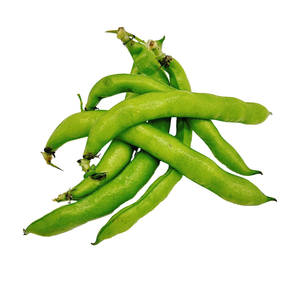 Fava Beans 500g