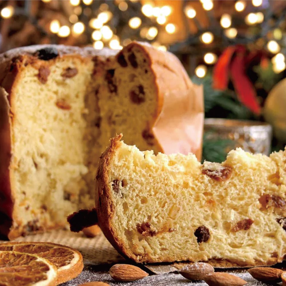 Ommi's-Frozen-Panettone---750g-1