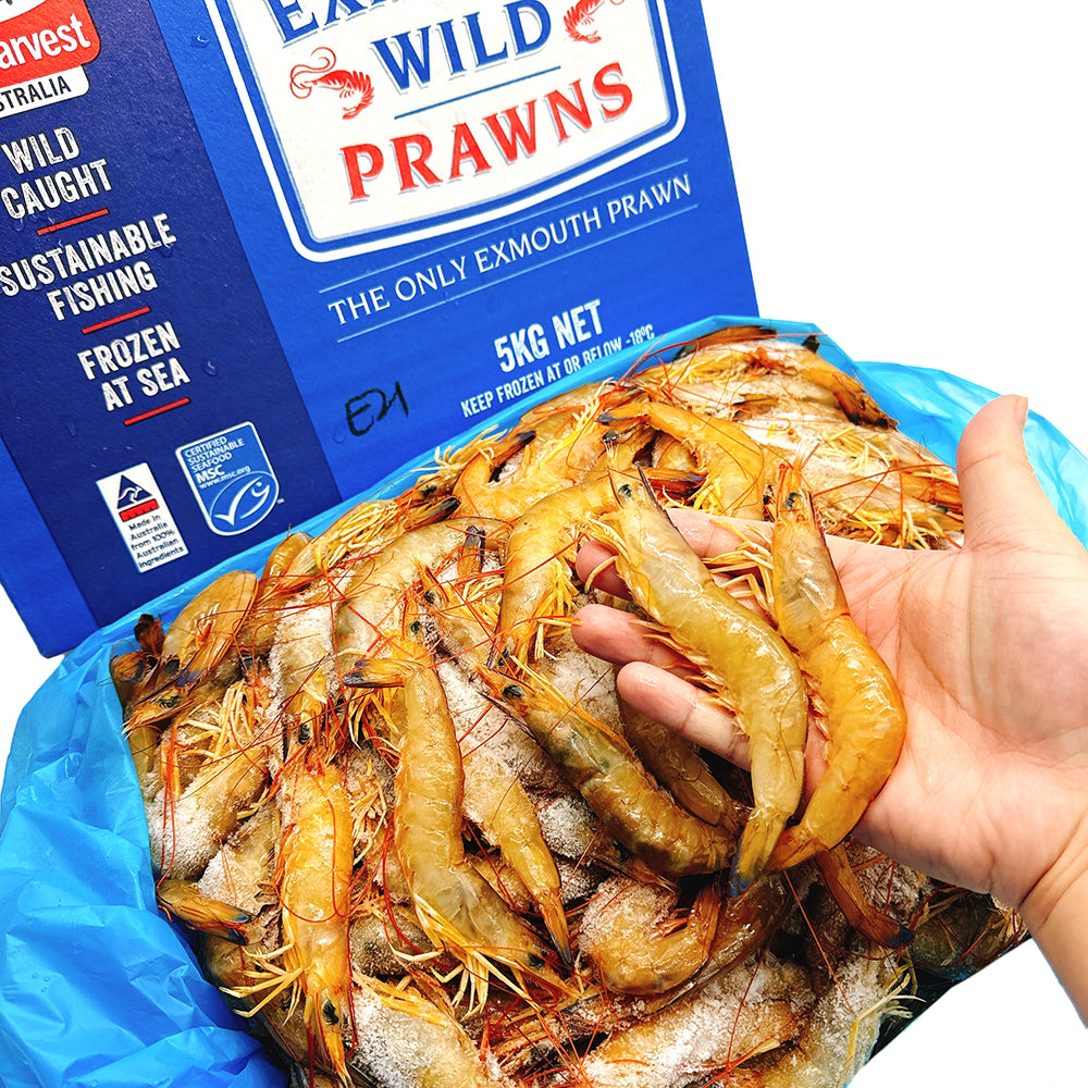 Exmouth-Wild-Caught-Prawns-U21/30---5kg-1