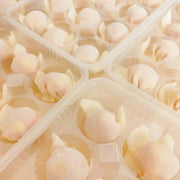 Australian Frozen Dumplings at UMall Australia