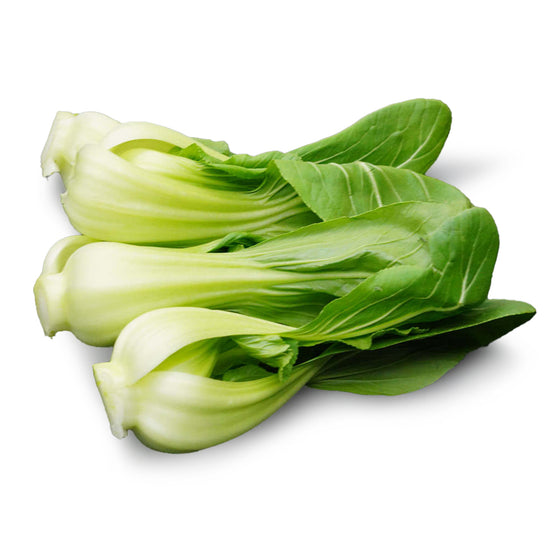 Hydroponically Grown Shanghai Bok Choy - 1 Bundle