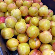 Tất cả trái cây at UMall Australia