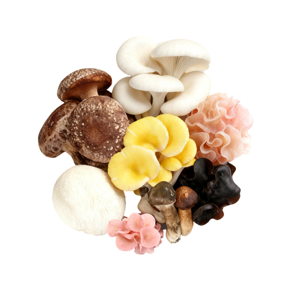 mycoharvest-mixed-gourmet-mushrooms-200g-2