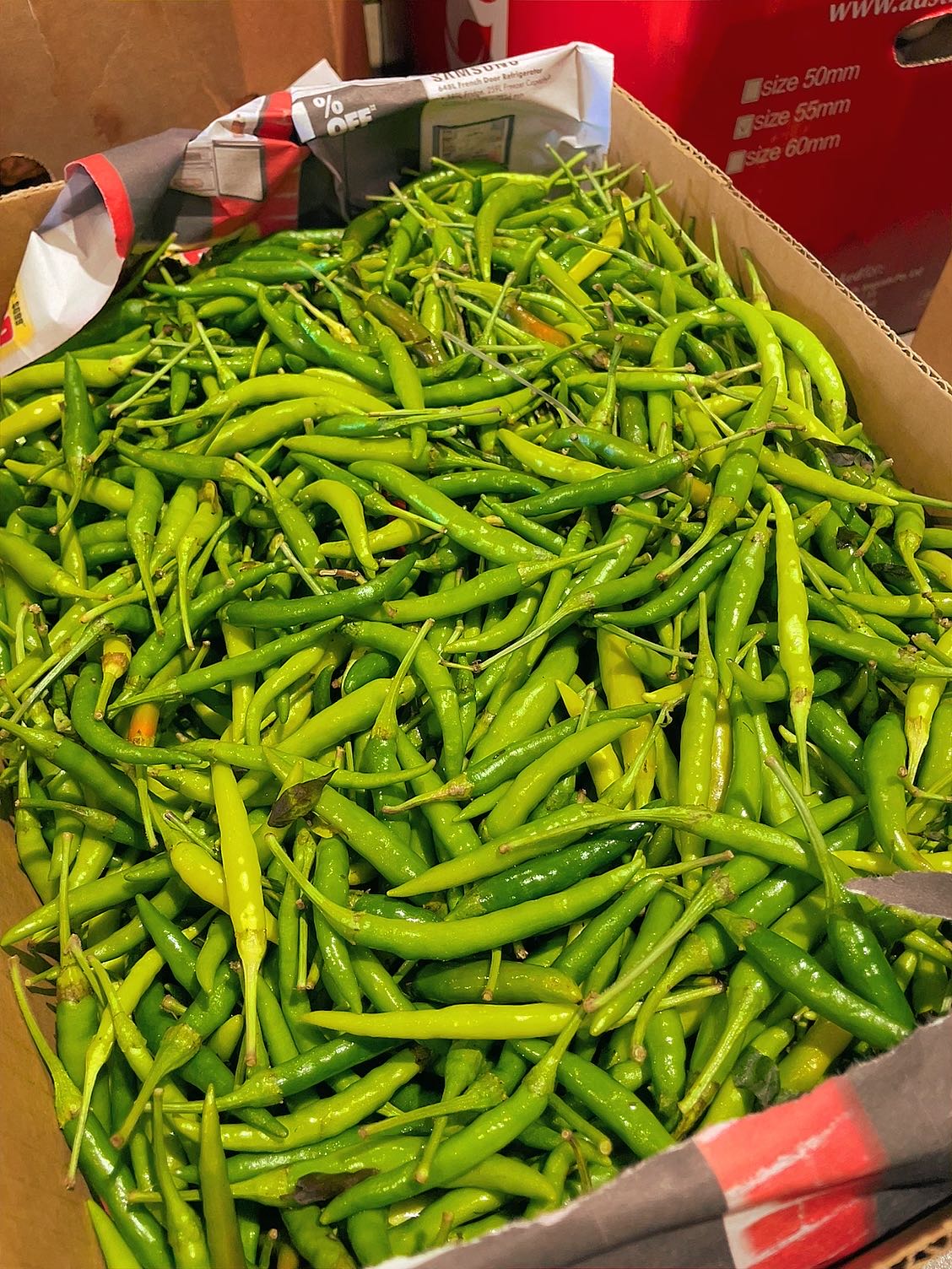 [Fresh]-Thai-Green-Chilli-Approximately-150g-1