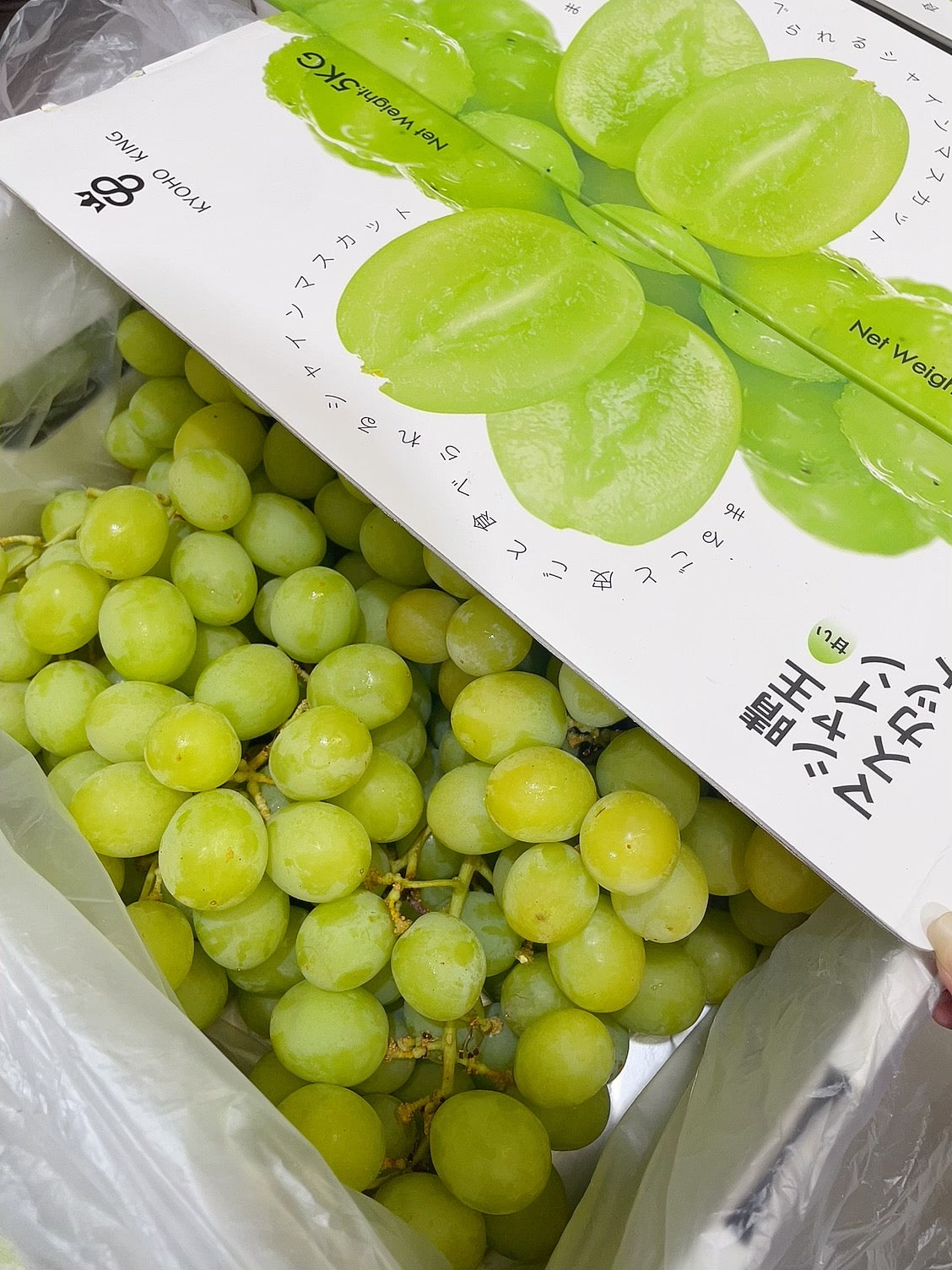 Kyoho-King-Shine-Muscat-Grapes---1kg -1