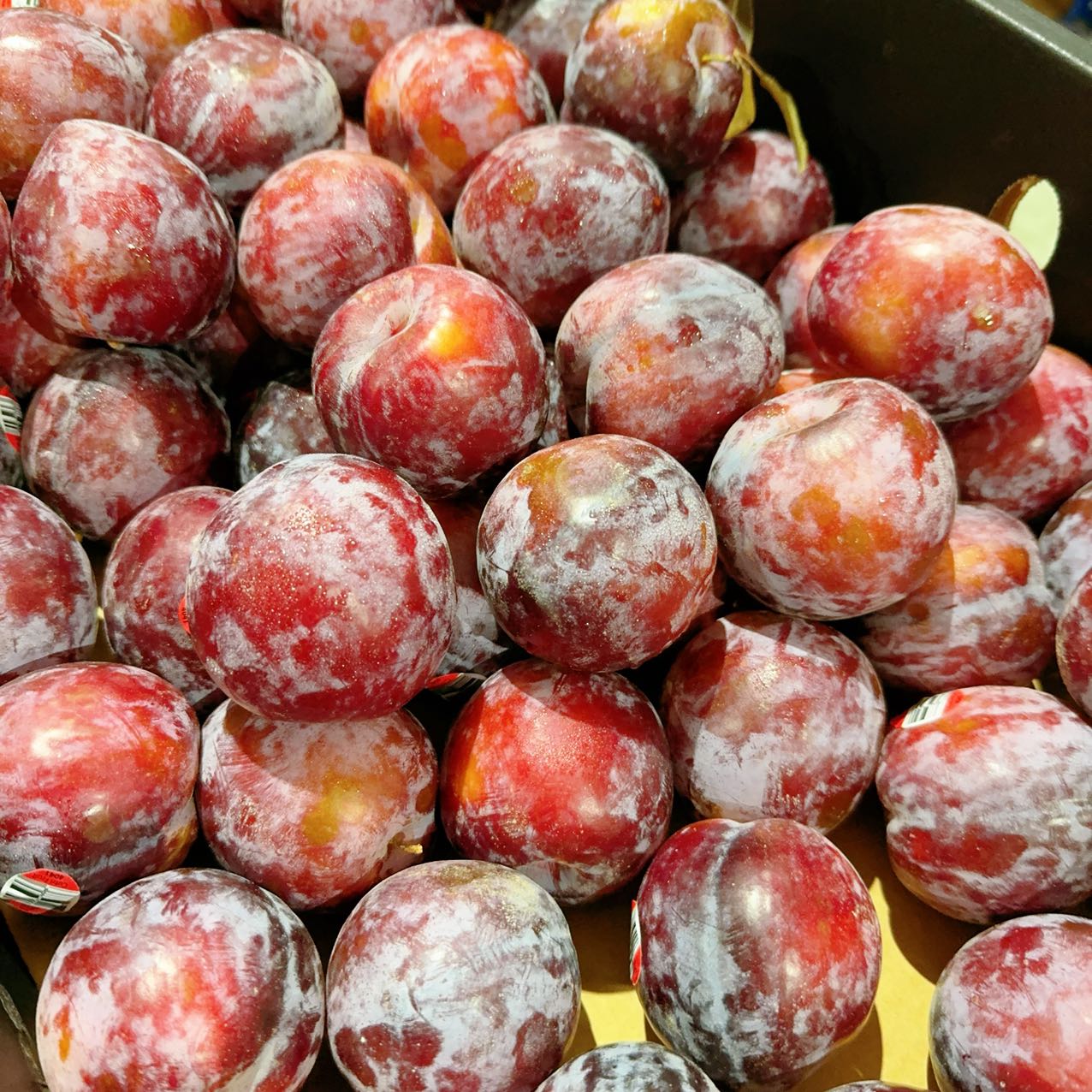 [Fresh]--Pointed-Yellow-Heart-Plums-Approximately-1kg-1