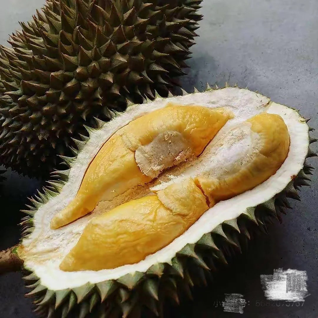 Umall-Frozen-D163-Gourd-Durian---2-2.2kg-1