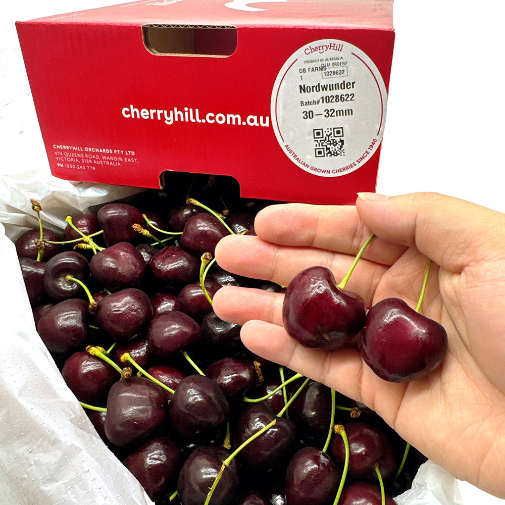 CherryHill-Nordwunder-Cherries-Gift-Box-30-32mm---2kg-1