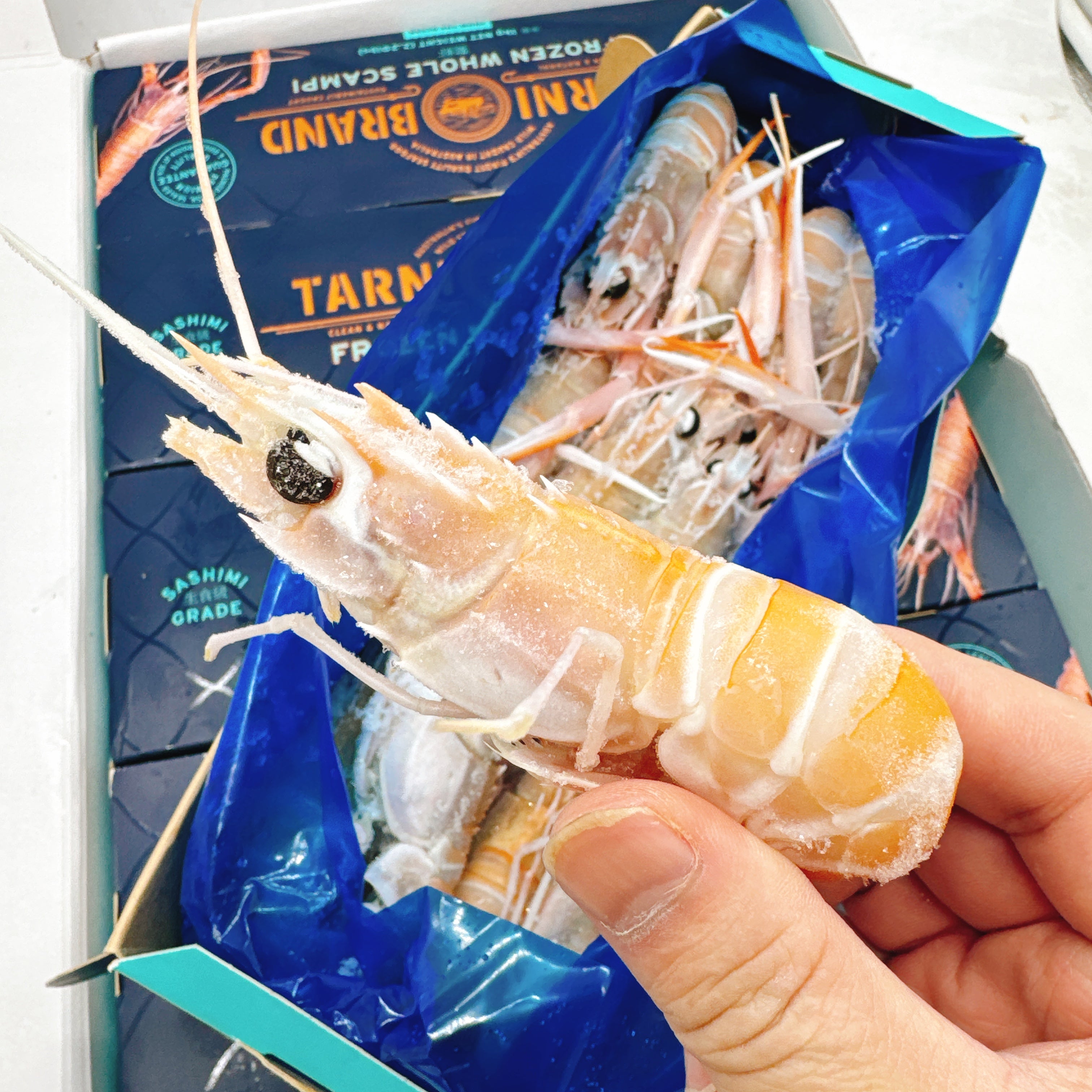 Tarini-Brand-Frozen-Wild-Western-Australian-Scampi-NO.4---1kg-1