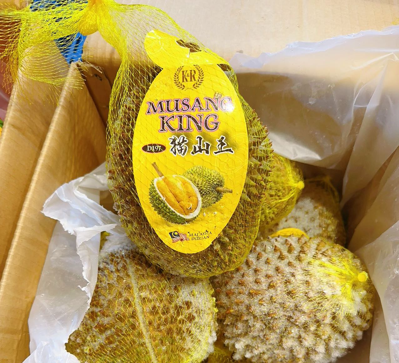 Frozen-Netted-Musang-King-Durian---Approx.-2kg -1