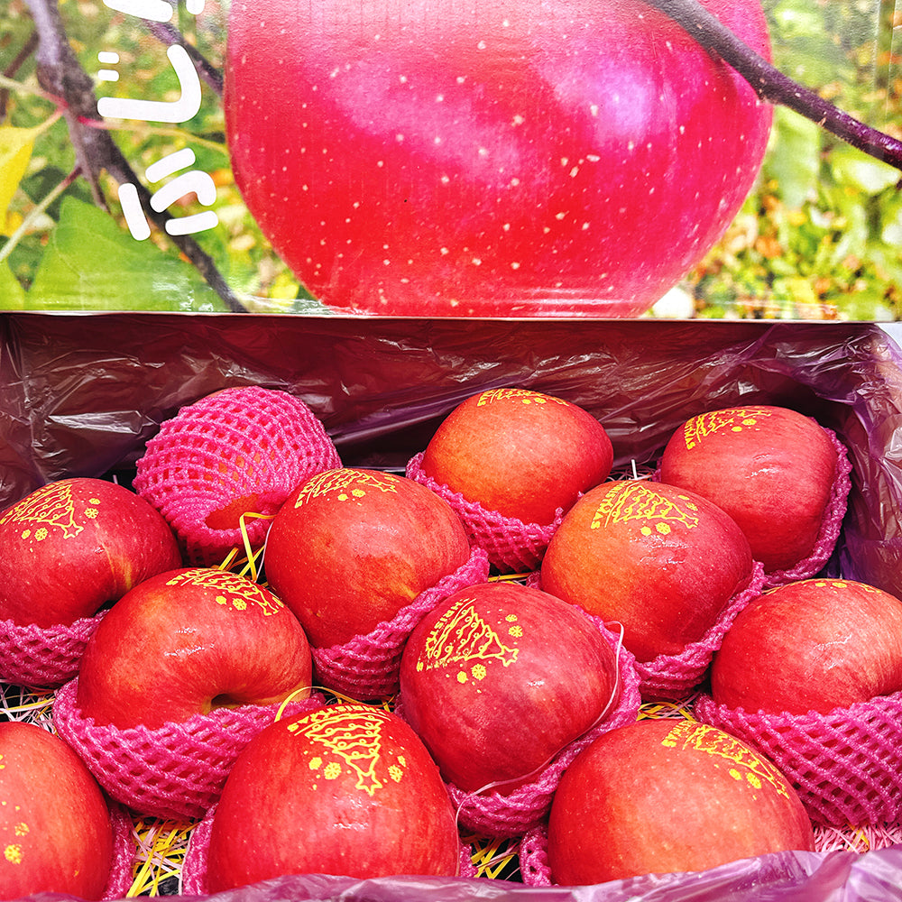 Christmas-Edition-Fuji-Apples---Box-of-12,-4.5kg-1