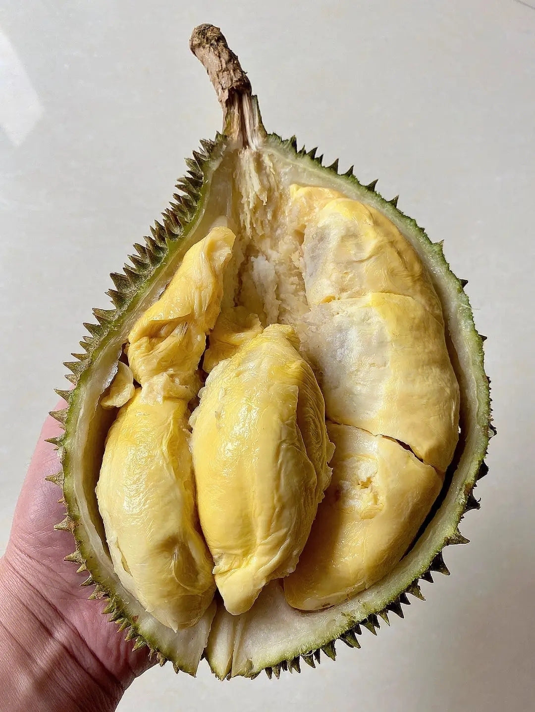 Umall-Frozen-D2-Datuk-Nina-Dream-Lover-Durian---1.6kg-1