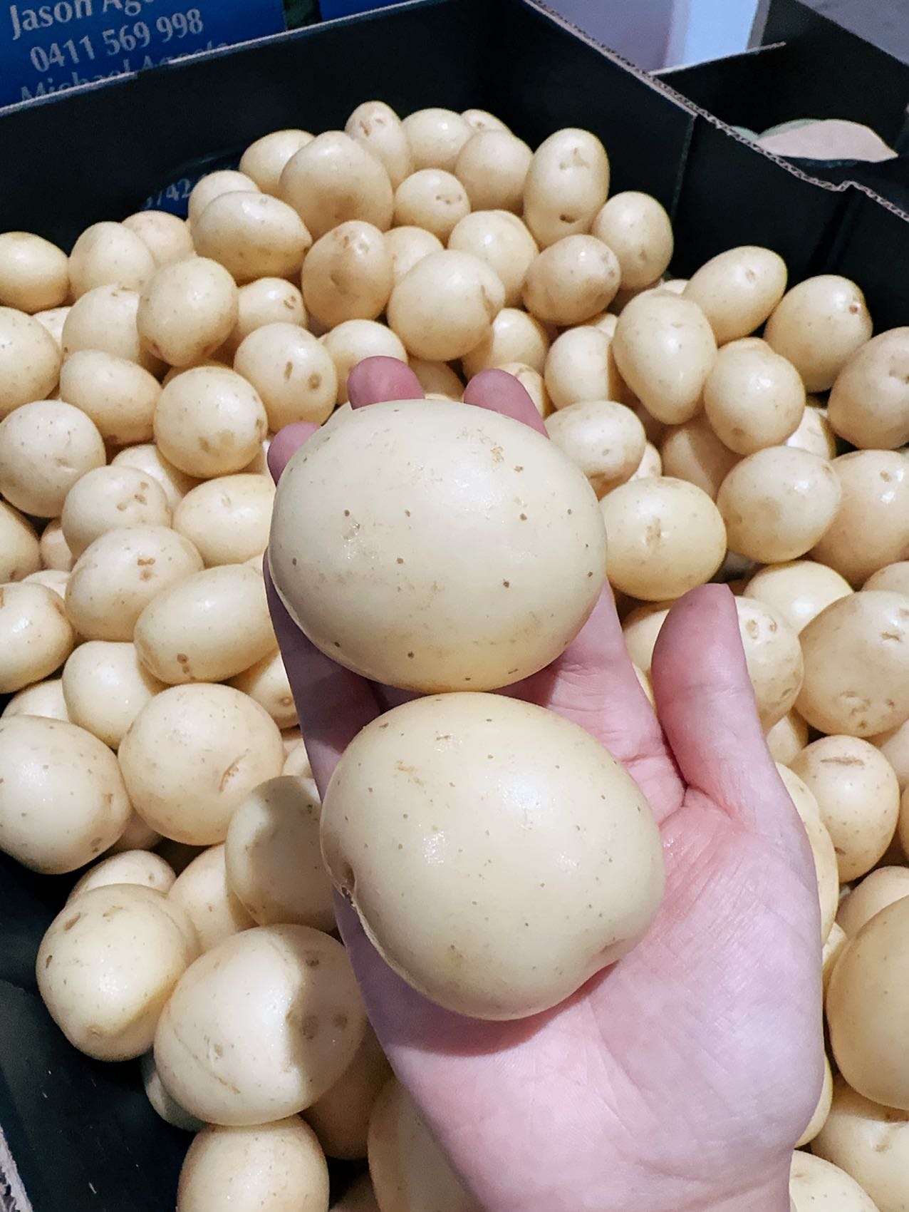 Small-Potatoes---800g-1