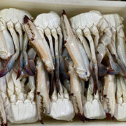 Bán chạy nhất at UMall Australia