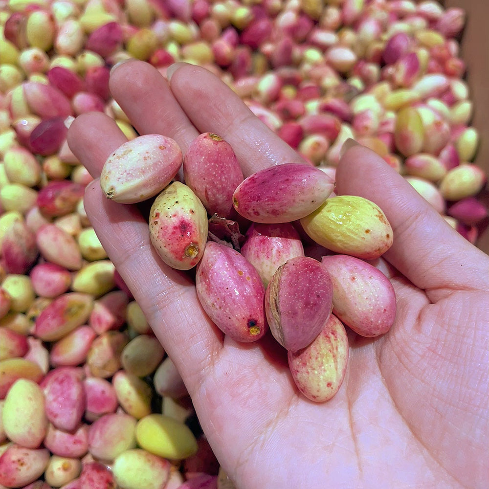 [Fresh]--Fresh-Pistachios-Approximately-500g-1