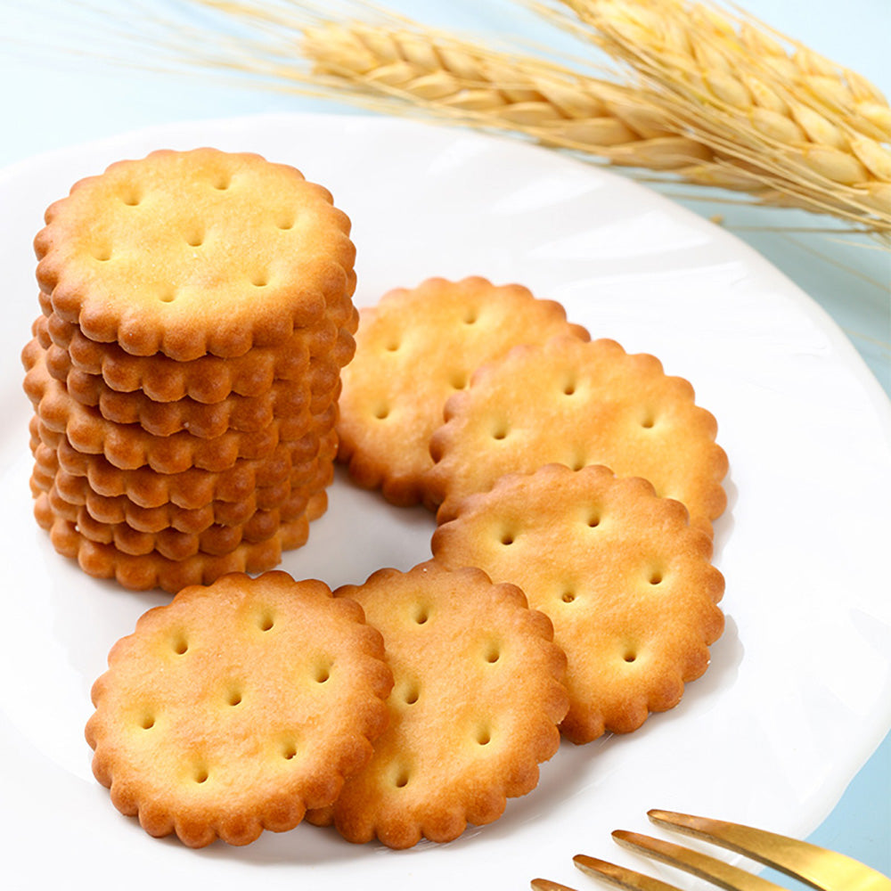 Bestore-Sun-Salt-Small-Round-Biscuits-102g-1