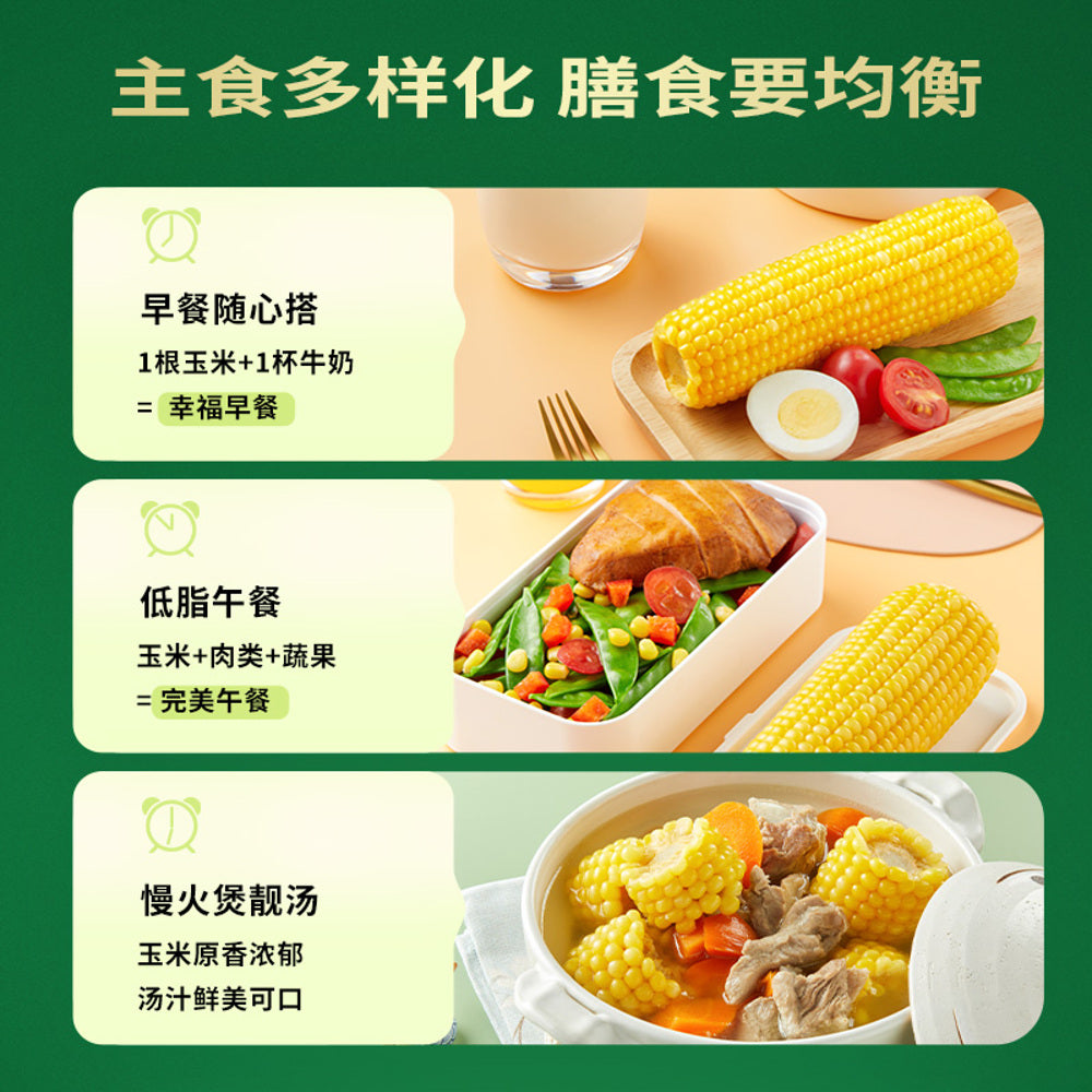 October-Rice-Field-Yellow-Waxy-Corn-1.76kg-(8-x-220g)---Ready-to-Eat-Vacuum-Sealed-Corn-on-the-Cob-3