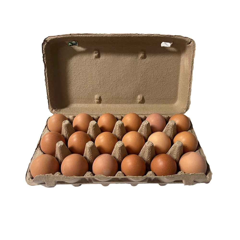 Canobolas-Free-Range-Eggs---18-Pieces,-1kg-1