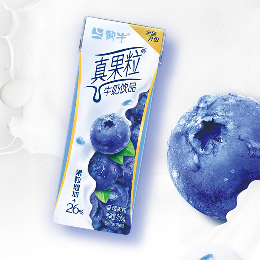 Mengniu-Real-Fruit-Milk-Drink-Blueberry-Flavor---250ml-1