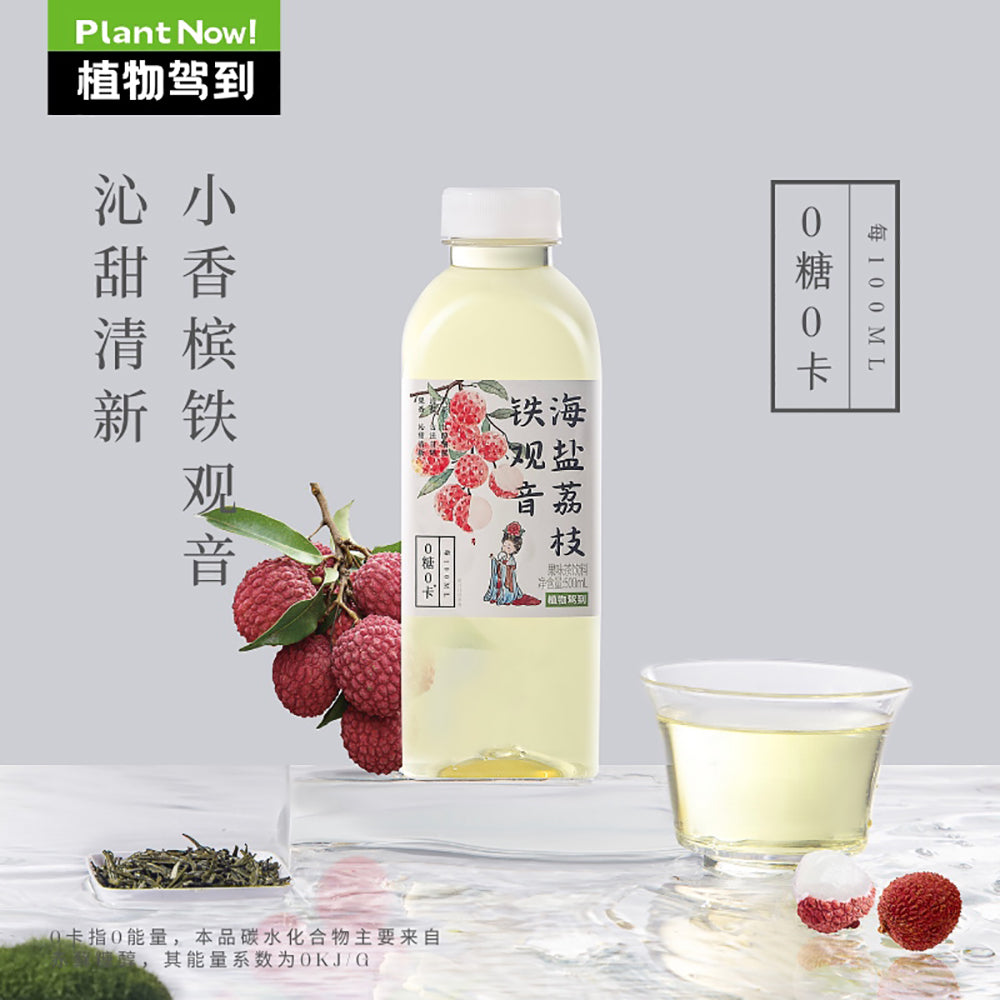 Plant-Now-Sea-Salt-Lychee-Tieguanyin-Tea,-Zero-Sugar,-Zero-Calorie---500ml-1