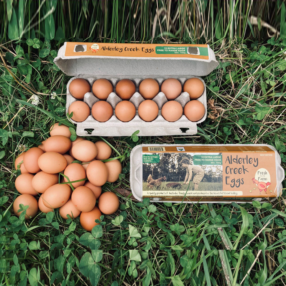 Fresh-Farm-Alderley-Creek-Free-Range-Eggs-12pcs--700g-1