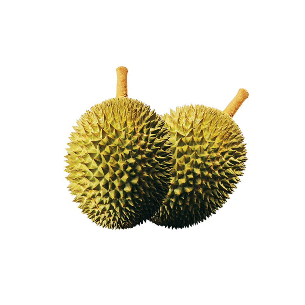 Hernan Musang King Durian 2.2-2.4kg