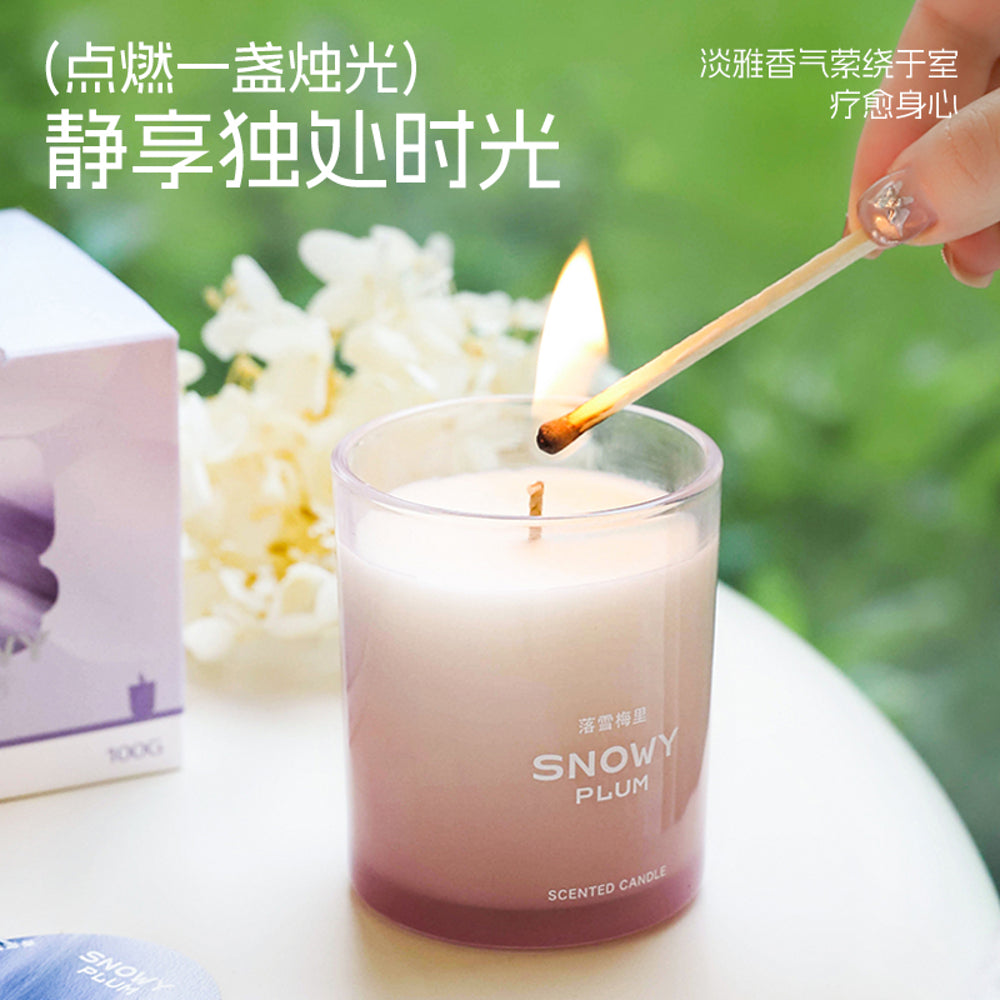 Airguard-Snowy-Plum-Aromatherapy-Scented-Candle-–-100g-2