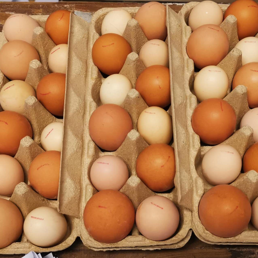 [Fresh]-Wonderwander-Forest-Raised-Multicoloured-Eggs-12pcs-1