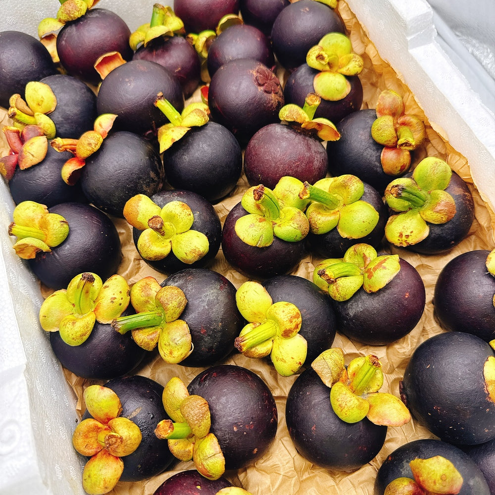 Fresh Thai Air-Freighted Mangosteen - 1kg