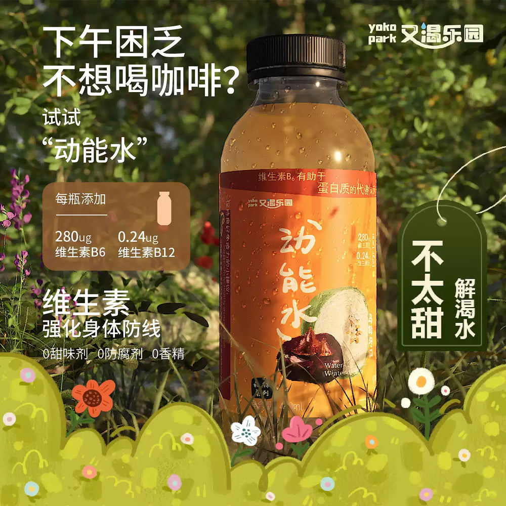 Youke-Leyuan-Water-Chestnut-&-Winter-Melon-Drink-400ml-×-12-–-Refreshing-Chinese-Herbal-Tea-2