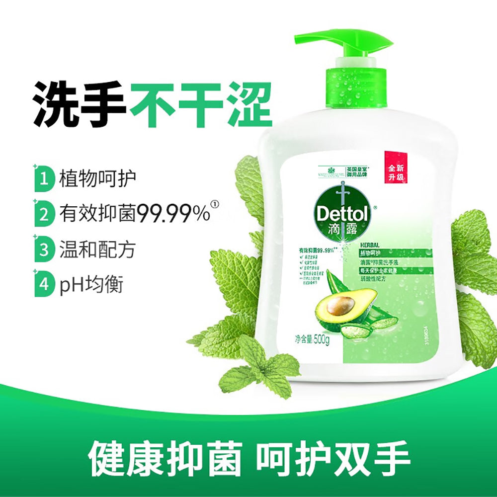 Dettol-Antibacterial-Hand-Wash-Herbal---500g-1