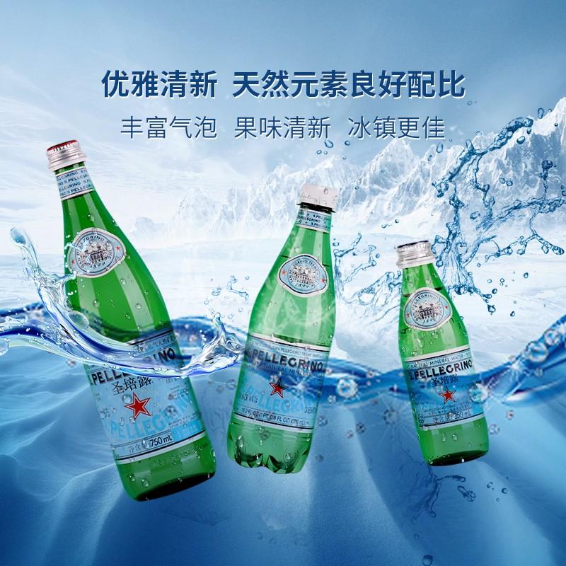 Sanpellegrino-Sparkling-Water---Glass-Bottle,-750ml-X2-1