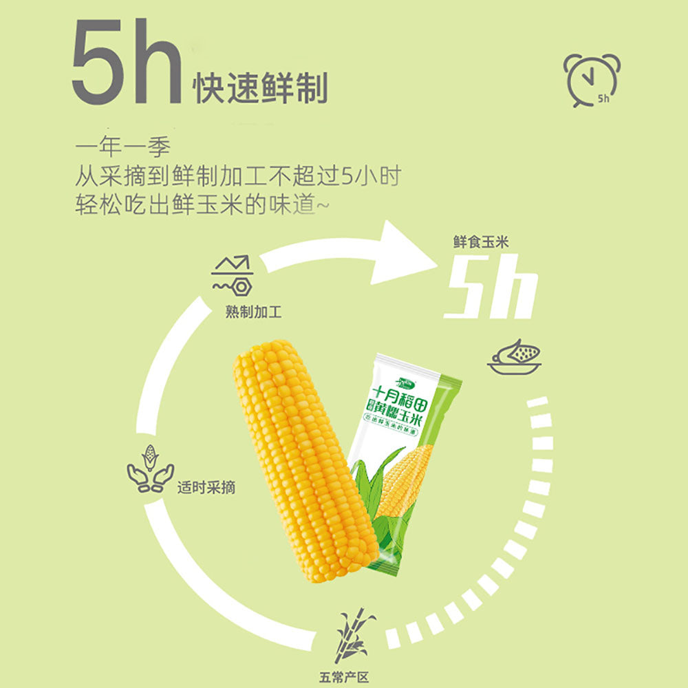 October-Paddy-Yellow-Glutinous-Corn---Single-220g-1