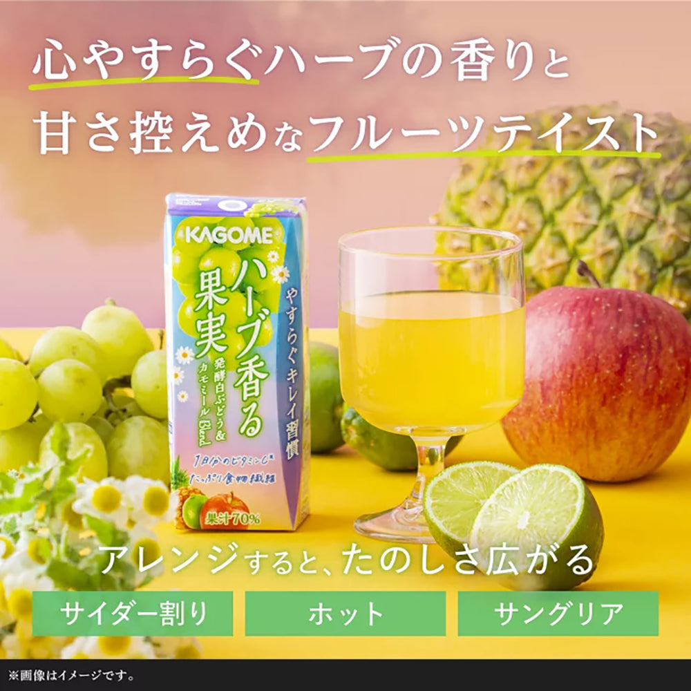 Kagome-Herb-Scented-Grape-Juice---195ml-1