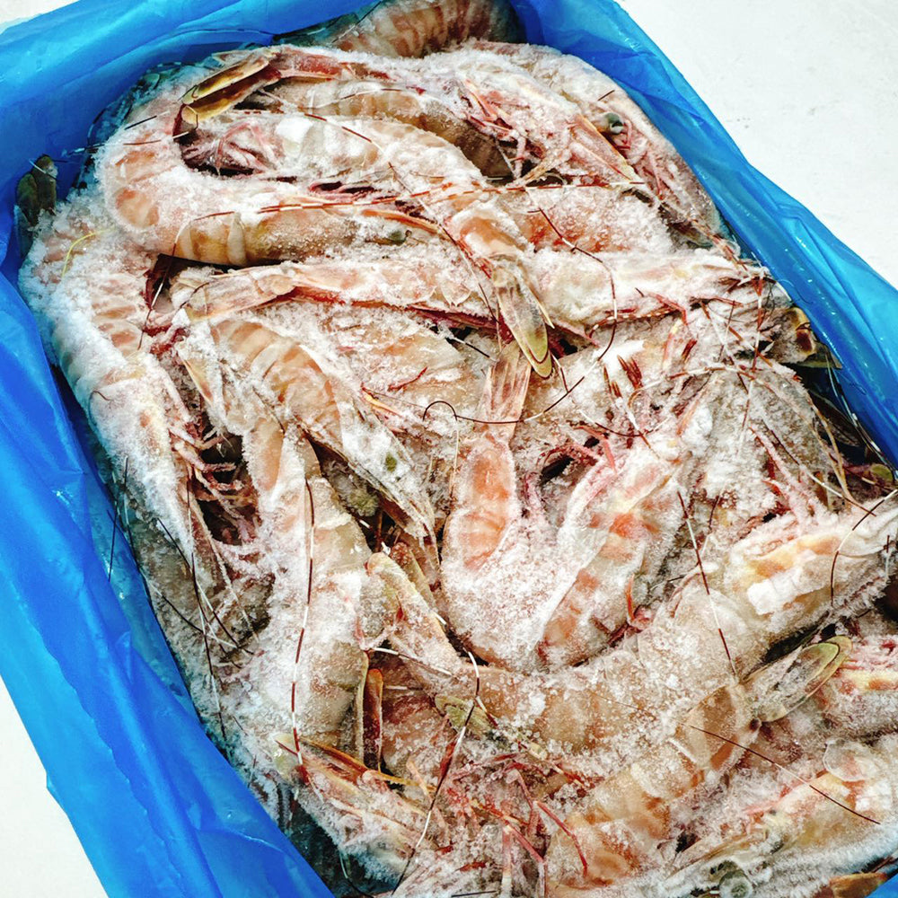 Tarni-Brand-Sashimi-Grade-Raw-Brown-Tiger-Prawns-Size-16/20---3kg-1