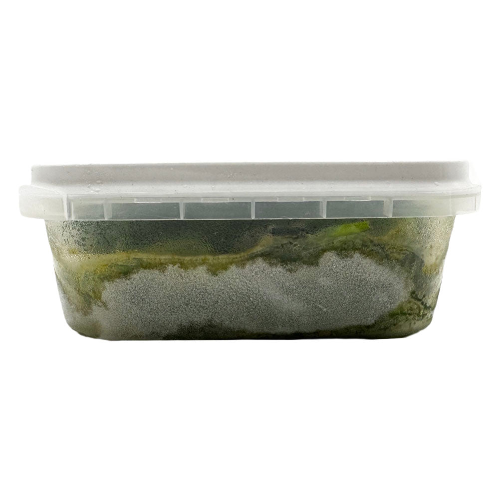 [Frozen]-Jun-Chinese-Frozen-Kelp-250g-1