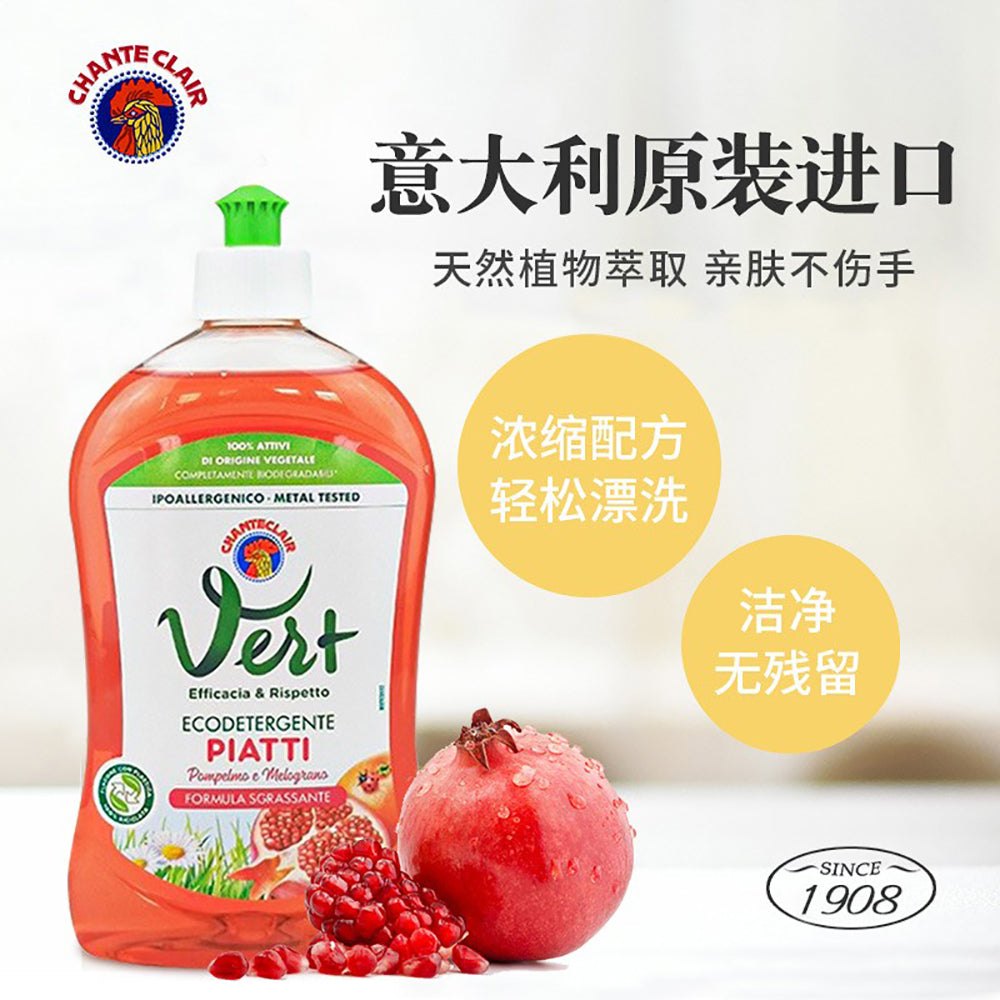 ChanteClair-Vert-Pomegranate-Concentrated-Dishwashing-Liquid---500ml-1