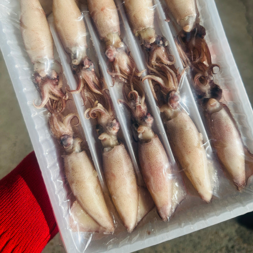 Ruyuxiang-Roe-In-Baby-Squid-240g-–-Whole-Frozen-Squid-with-Eggs-2