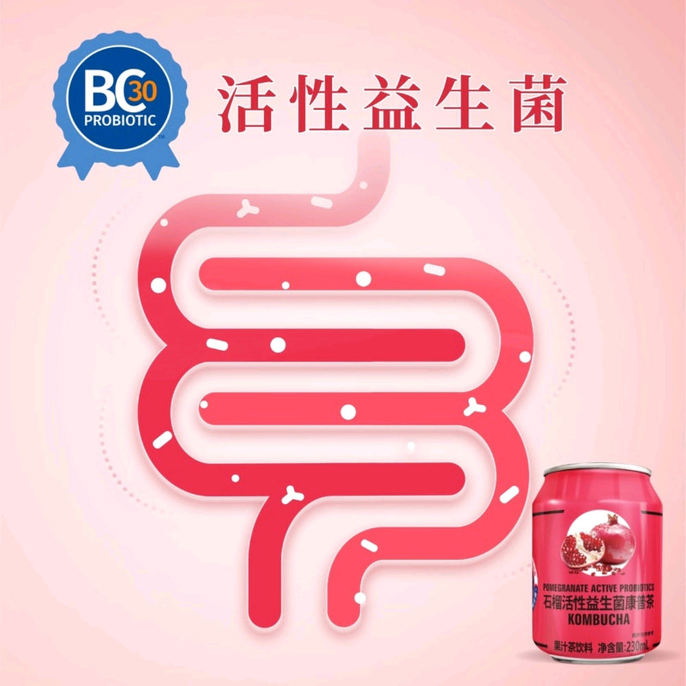 Pomegranate-Active-Probiotics-Kombucha---230ml-x-20-Bottles-1