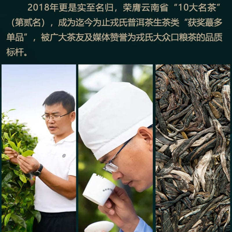 Rongshi-Original-Raw-Pu-erh-Tea-Compressed-Tea-Gift-Box---8g*20-Pieces,-160g-1