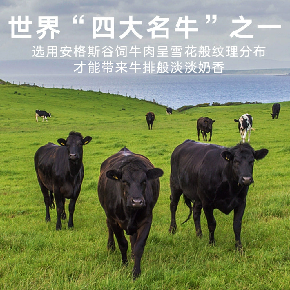 sanguan-liumatou-angus-crispy-beef-snack-original-flavour-100g-2