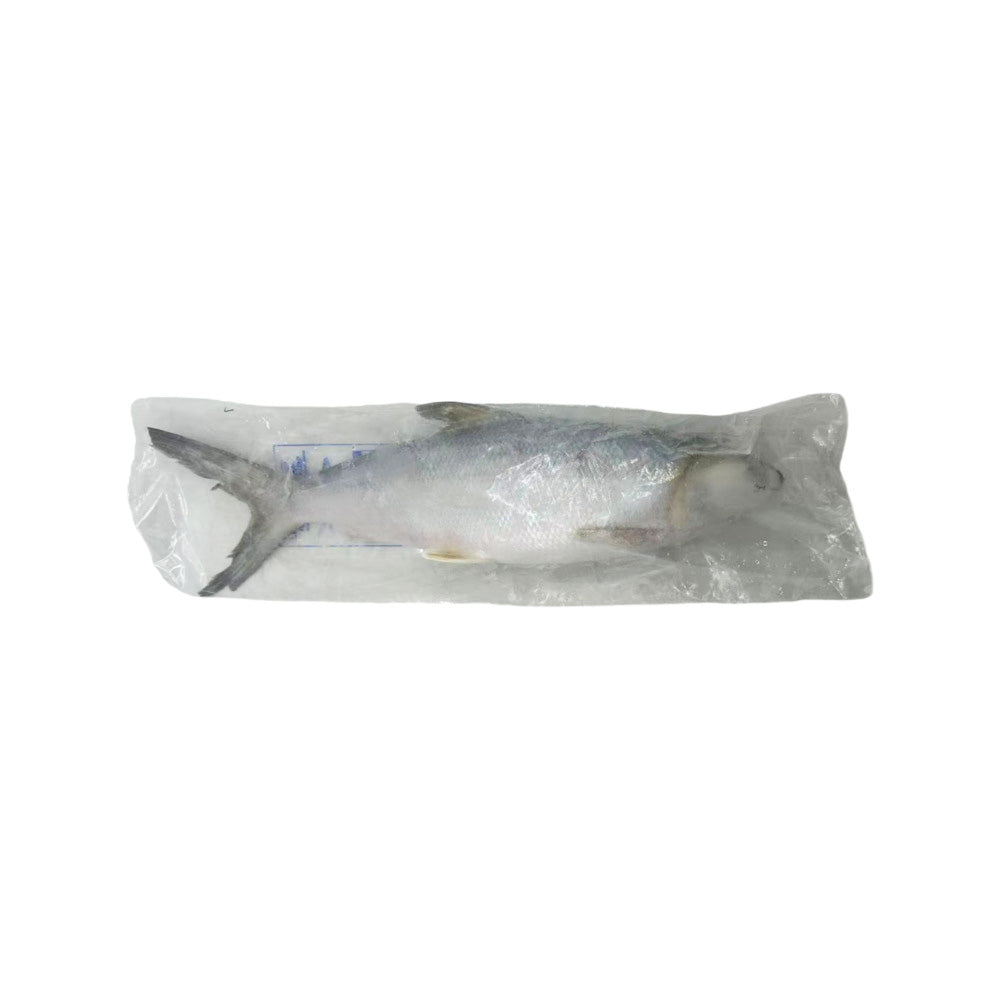 Frozen-Whole-Milkfish-(Scaled-and-Gutted)---600-800g-2