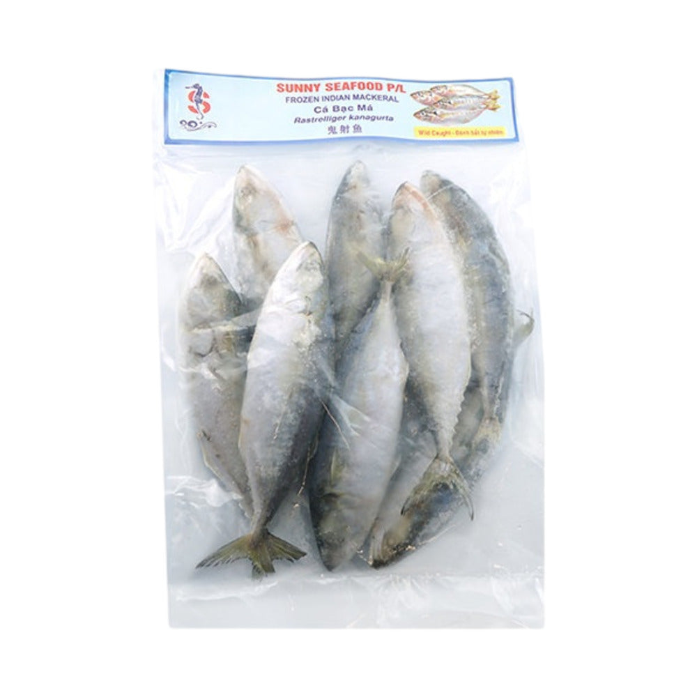 Frozen-Indian-Mackerel-(Whole-Fish)-900g-–-Bangda-/-Ikan-Kembung-2