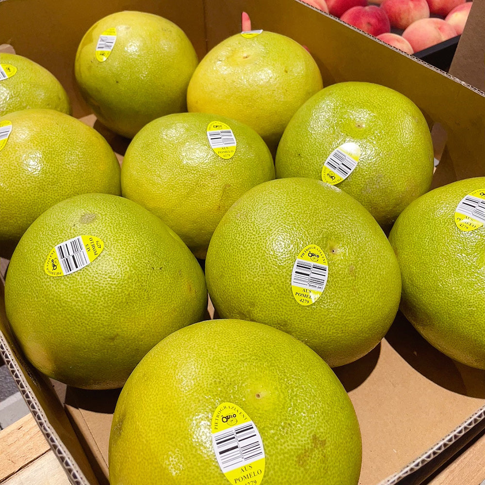 [Fresh]--Large-Australian-Local-Pomelo-(also-known-as-Shatian-Pomelo)---1-Piece-1