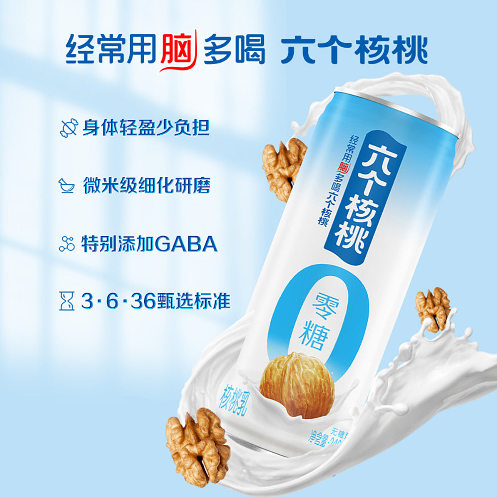 Six-Walnuts-Sugar-Free-Walnut-Milk---240ml-1