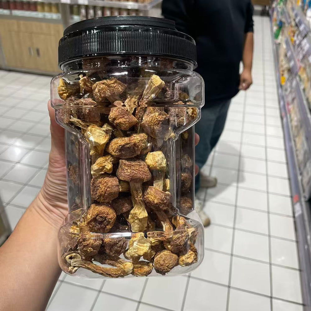 weiduobao-dried-agaricus-blazei-mushrooms-220g-limited-import-2