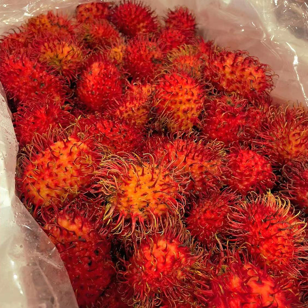 Rambutan---500g-1