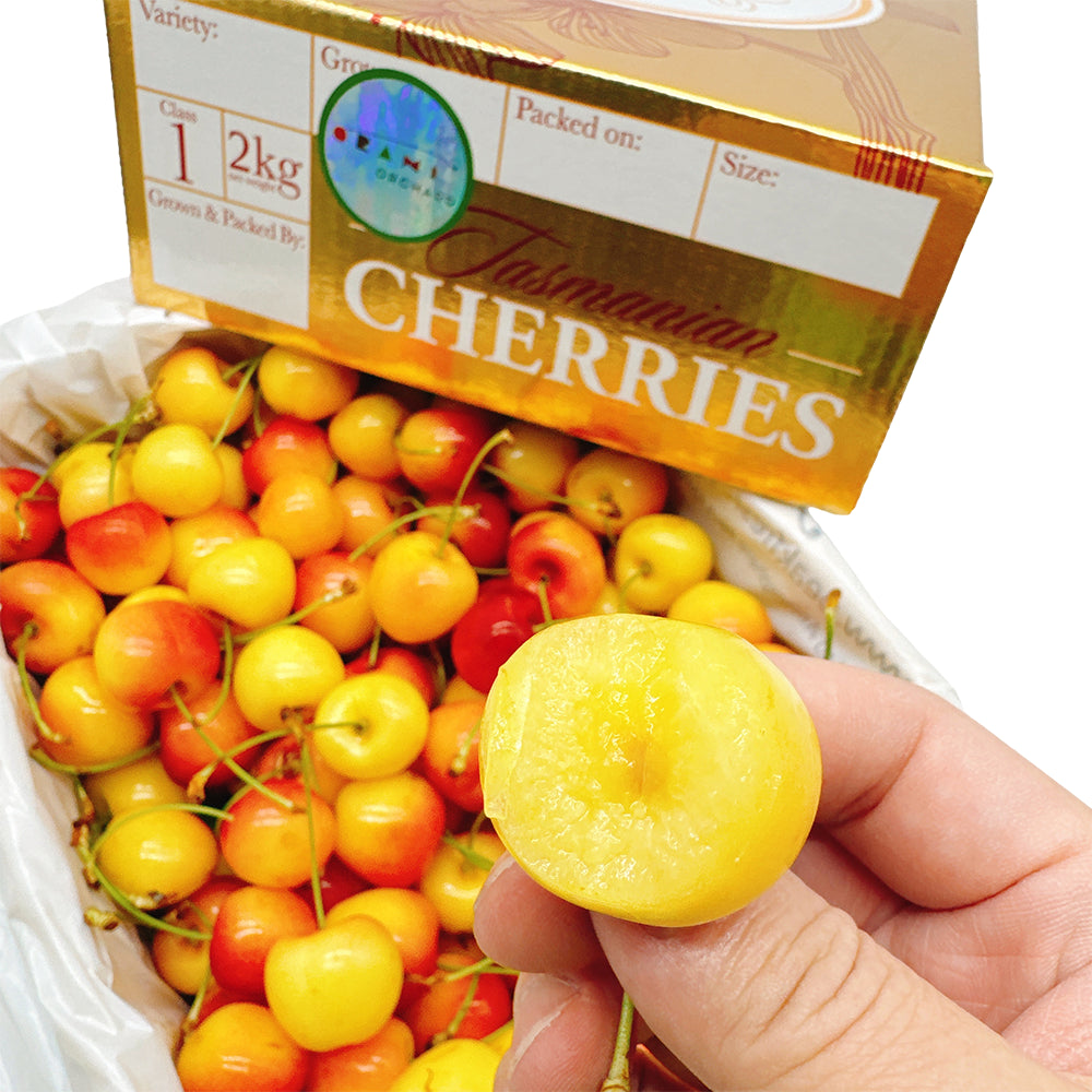 Tasmanian-White-Cherries-Gift-Box---2kg-1